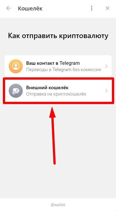 _8.jpg