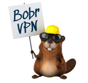 vpn